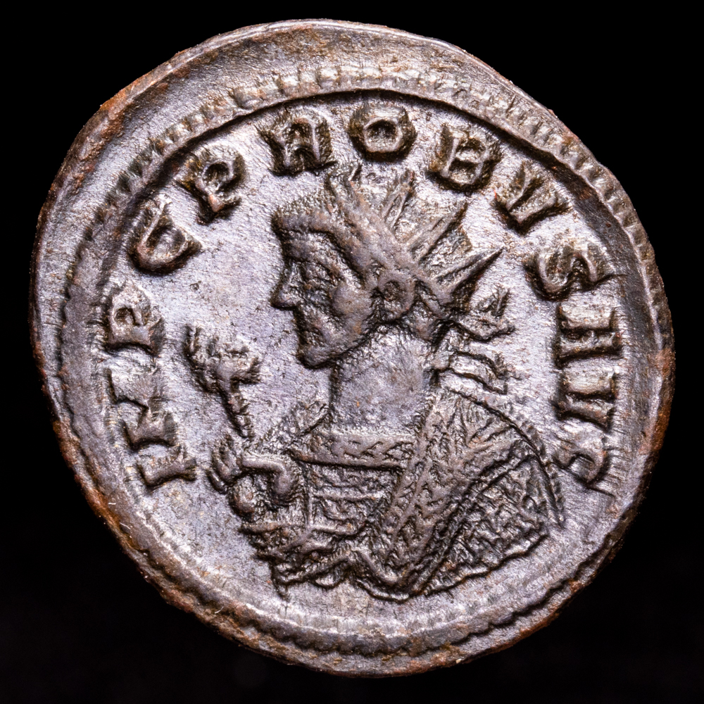 Probo. Antonininano. (3,69 g.). Roma. 276-282 d.C.. RIC-490. EBC-. R: PROVIDENT – Q / S XXI
