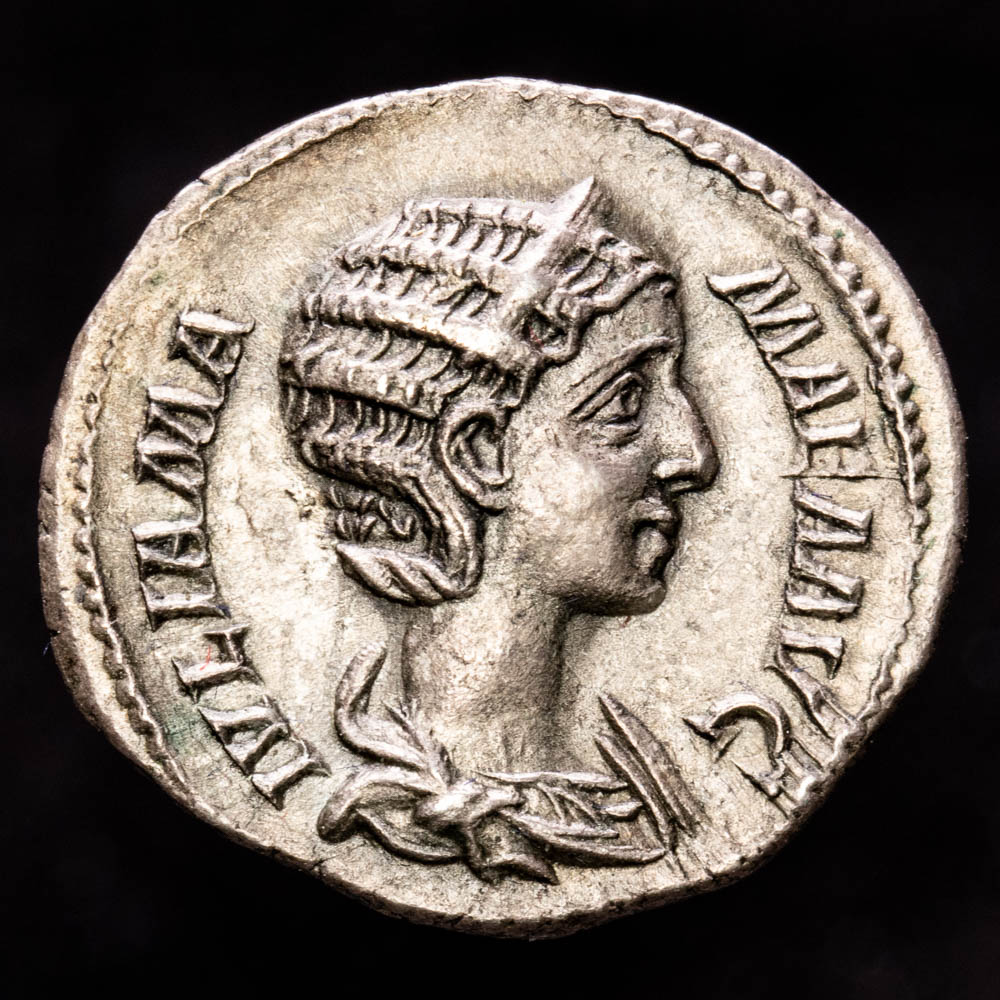 Julia Mamaea. Denario. (2,85 g.). Roma. 222-235 d.C.. RIC-358. EBC. R: VENVS VICTRIX