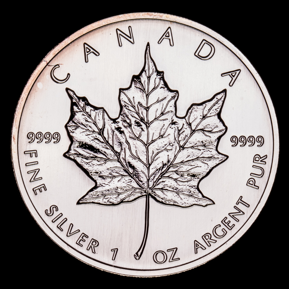 Canadá – Elisabeth II. 5 Dollars. (31,5 g.). 1999.UNC.
