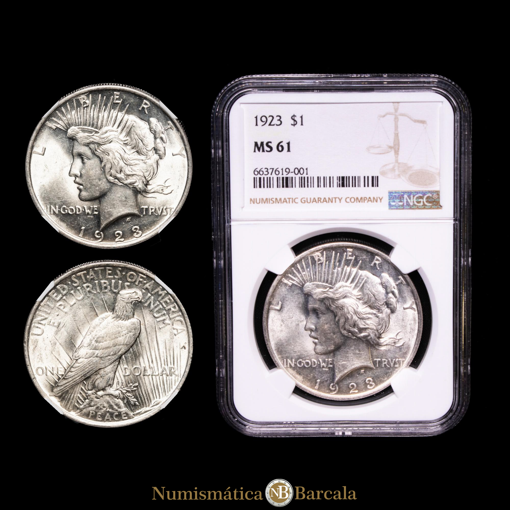 Estados Unidos. 1 Dollar. ( g.). 1923. Encapsulado por NGC MS61.