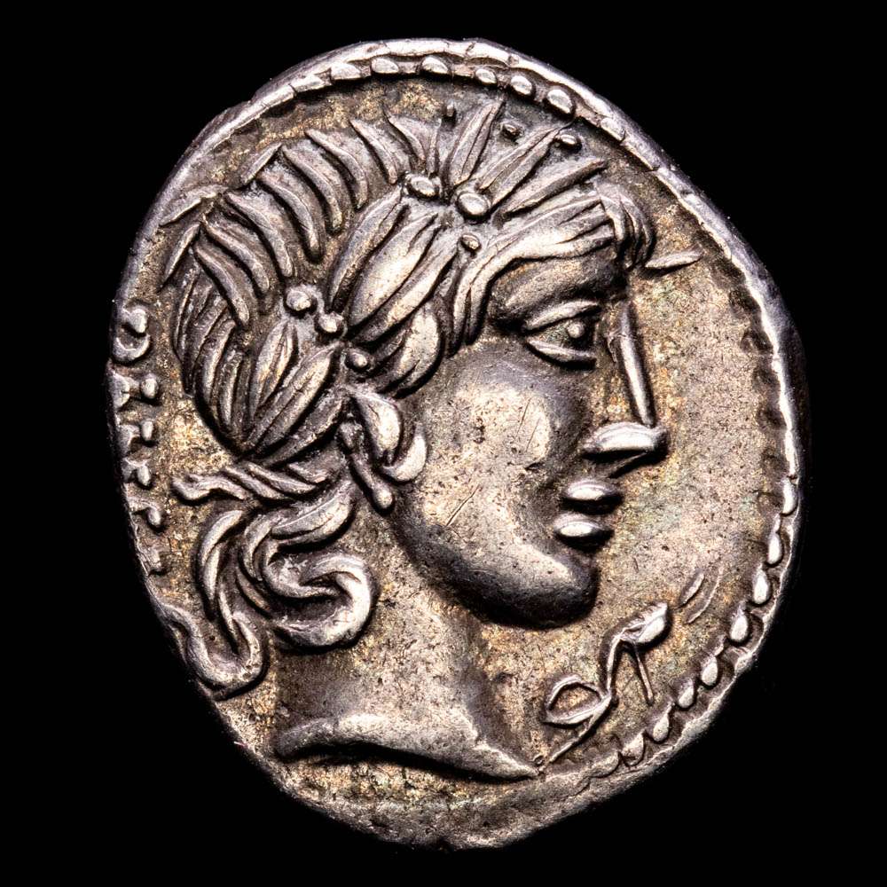 Vibivs Denario 90 a.C. Roma CRA-342/50 4,01 g Tono.  XF