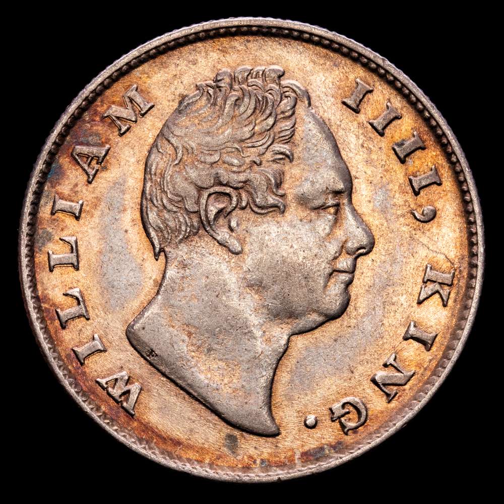 India Británica – William IV. Rupee. (11,64 g.). 1835. KM-450.1. EBC+. Restos de brillo original. Bello tono.