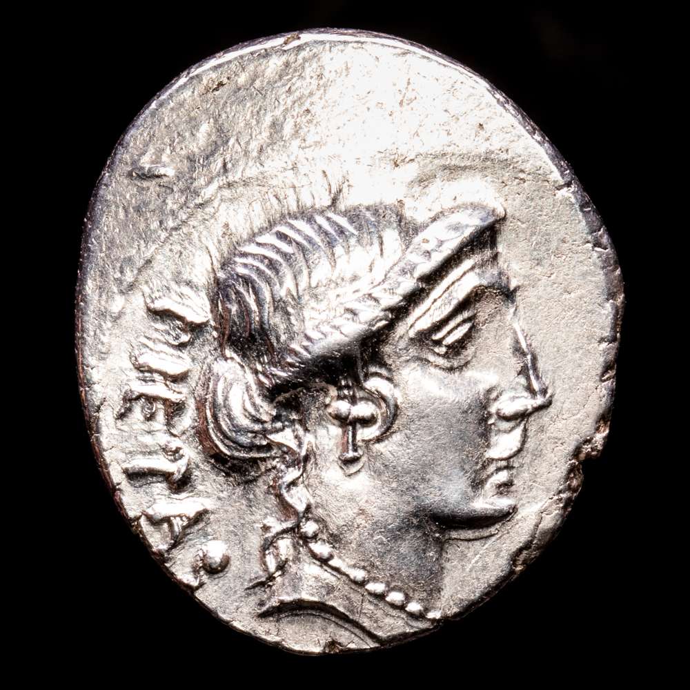 Postumius Albinus. Denario. (3,84 g.). Roma. 48 a.C.. Craw-450/2. EBC. Brillo original. Preciosa cabeza