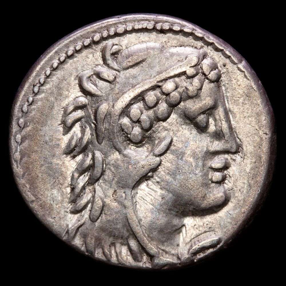 VOLTEIA. M. Volteius M.f. Denario (3,79 g.). Roma, 78 a.C. Anv.: Cabeza de Hércules joven a derecha. Rev.: Jabalí a derecha. En exergo: M. VOLTEI. M. F. BMC-3158; Cal-1395; Craw-385/2; FFC