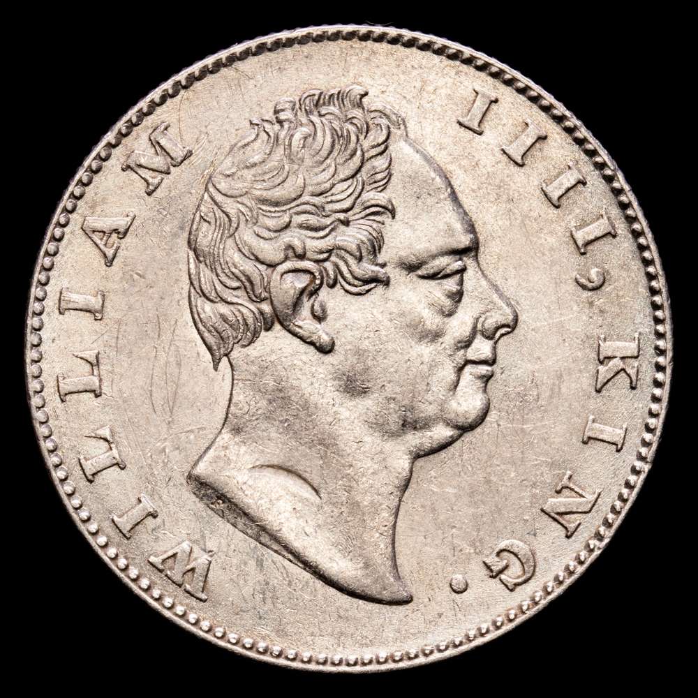 India Británica – William IV. Rupee. (11,68 g.). Calcuta. 1835. KM-450. EBC.