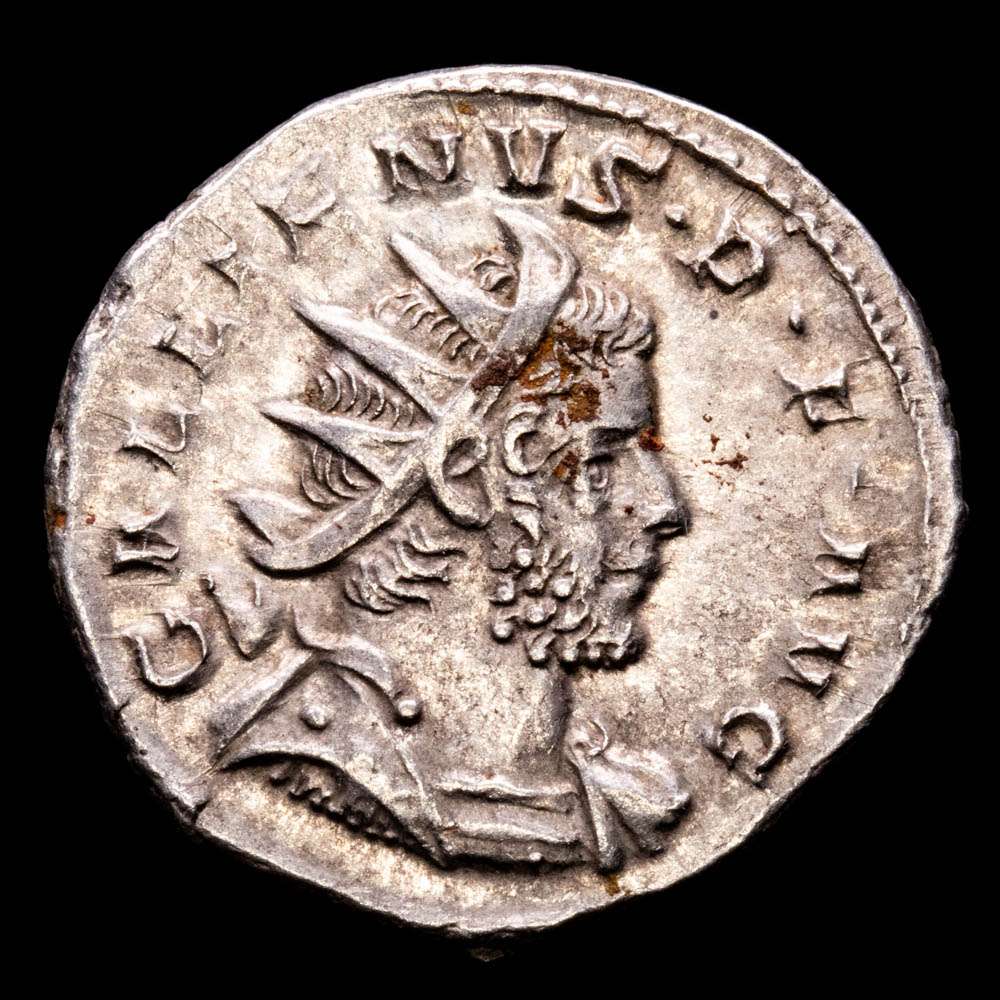 Galieno Antoniniano (3,37 g.). Colonia Agripiensis. 257 d.C. RIC-58. EBC-.