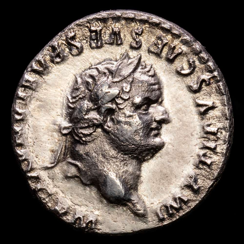 Tito. Denario. 89 d.C. Roma. (Ric-112). (Bmcre-72). (Rsc-309). Ag. 3,25 g. Bonita pátina. MBC+.