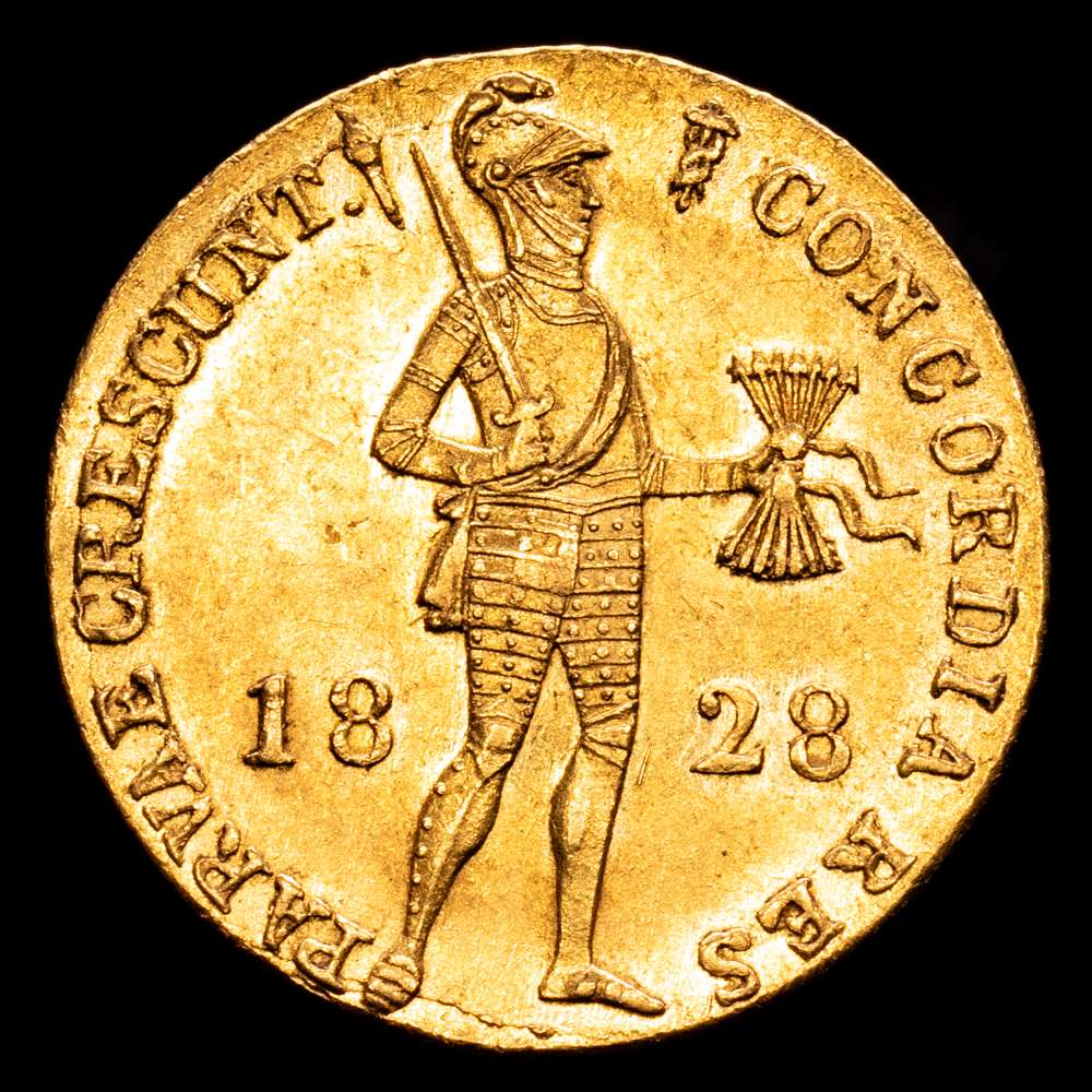 Países Bajos – William I. Ducat. (3,49 g.). 1828. KM-50.2. Restos de brillo original. XF+.