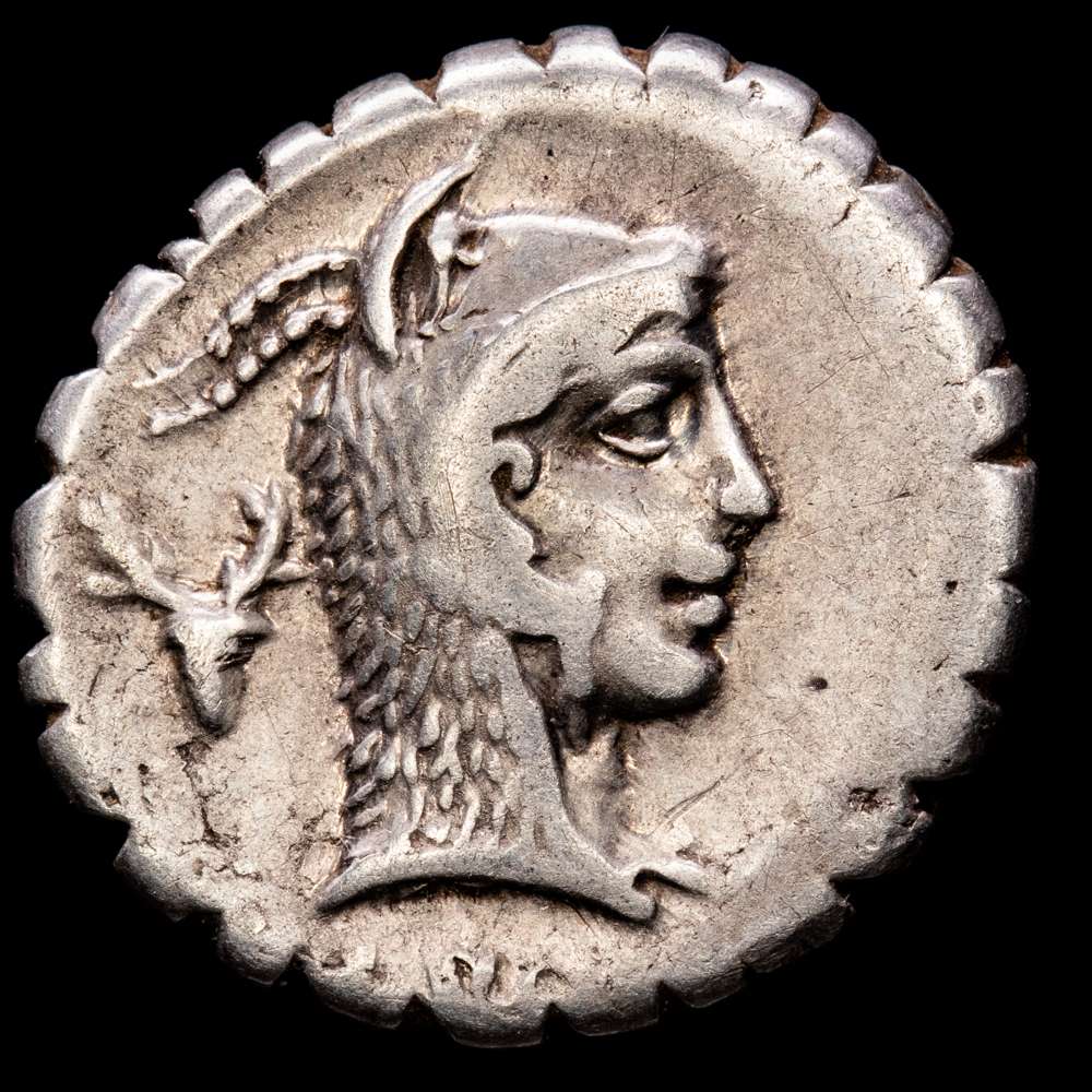 Denario. 64 a.C. ROSCIA. L. Roscius.  3,78 grs. AR. Par de símbolos nº 84 de Crawford. BMC-3394-10; Cal-1231; Craw-412/1; FFC-1090; Se-3. MBC.