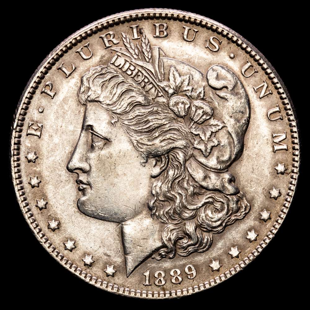Estados Unidos. Dólar Morgan. 1 dólar. 1889. Filadelfia. (Km-110). Plata. 26,82 g. Tono. XF.