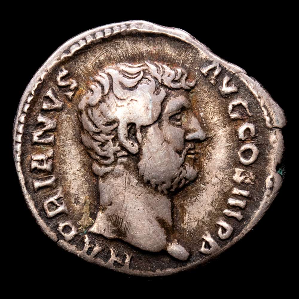 Adriano. Denario. (2,71 g.). Roma. 117-138 d.C.. BMC 862. Cohen 991. RIC 1543. En muy buen estado.