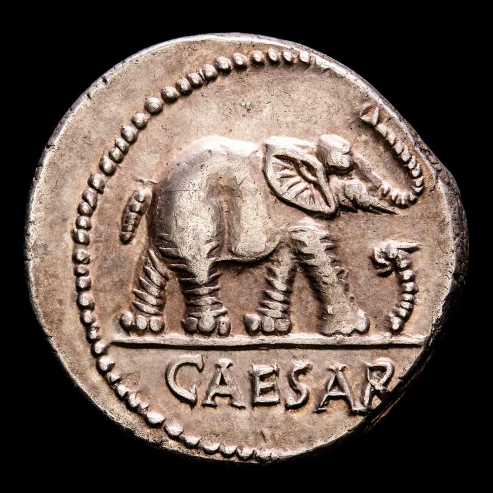 Julio César. Denario. 54-51 a.C. Galia. (Ffc-50). (Craw-443/1). (Cal-640). Ag. 3,89 g. Magnífico ejemplar. EBC.