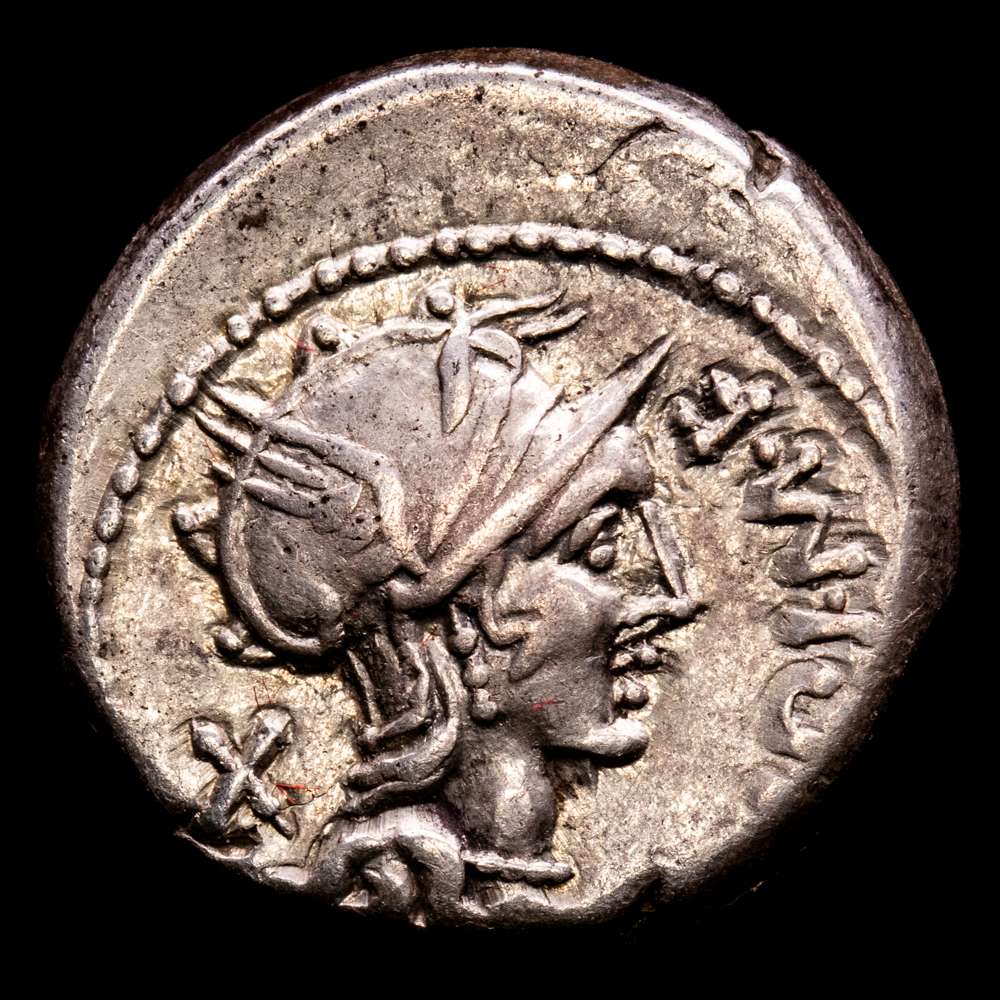 M. Cipius M. F. Denario. (3,93 g.). Incierta. 115-114 a.C.. (Ffc-563). (Craw-289/1). (Cal-422).  Ag. MBC+.