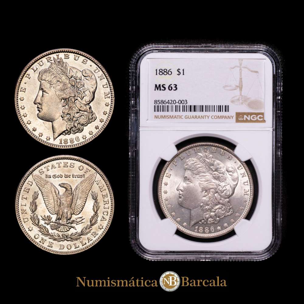 ESTADOS UNIDOS. 1 dólar. (Ar. 27,00g/38mm)*. 1886. Philadelphia. (Km-110). Encapsulado por NGC MS 63. Bella pátina.