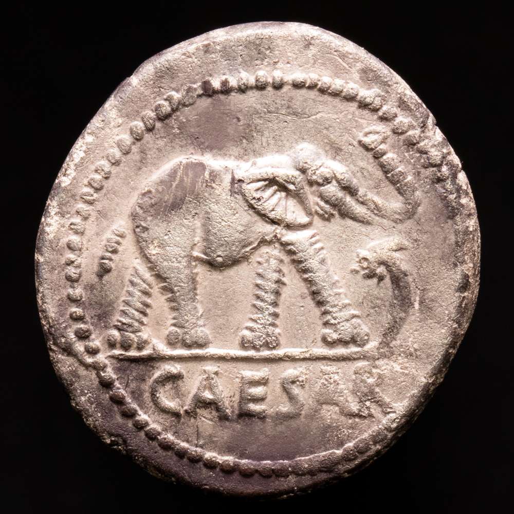 Julio César. Denario. 54-51 aC Galia. (Ffc-50). (Craw-443/1). (Cal-640).  Ag. 3,66 gramos. Bien centrada en anverso y algo desplazada en reverso. MBC+.