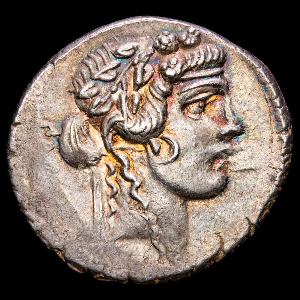 VIBIA. C. Vibius C.f.C.n. Pansa. Denario (4,07 g.). Roma, 48 a.C. ESCASA.