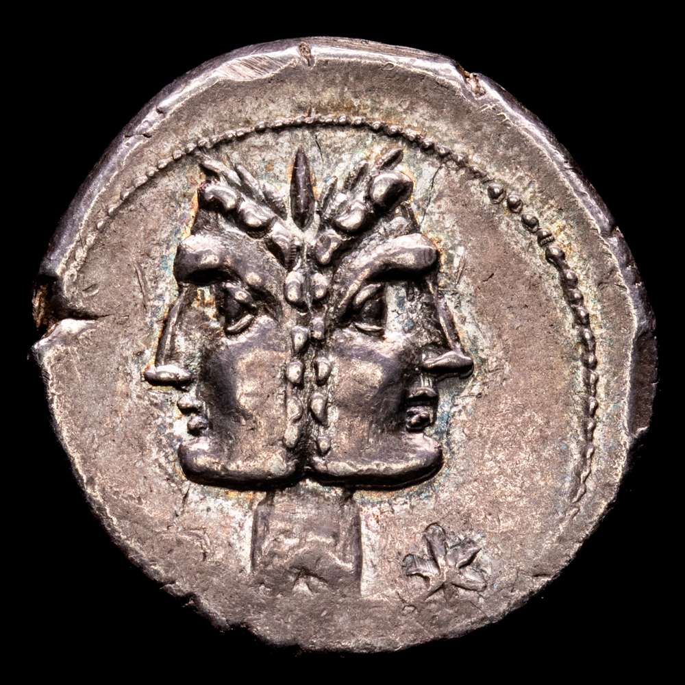 Fonteia. C. Fonteius. Denario. 114-113 a. C. Sur de Italia. (Rsc-1). (Ffc-713). (Craw-290/1). (Cal-585). Ag. 3,96 gramos. Suave y bella pátina de monetario. EBC.