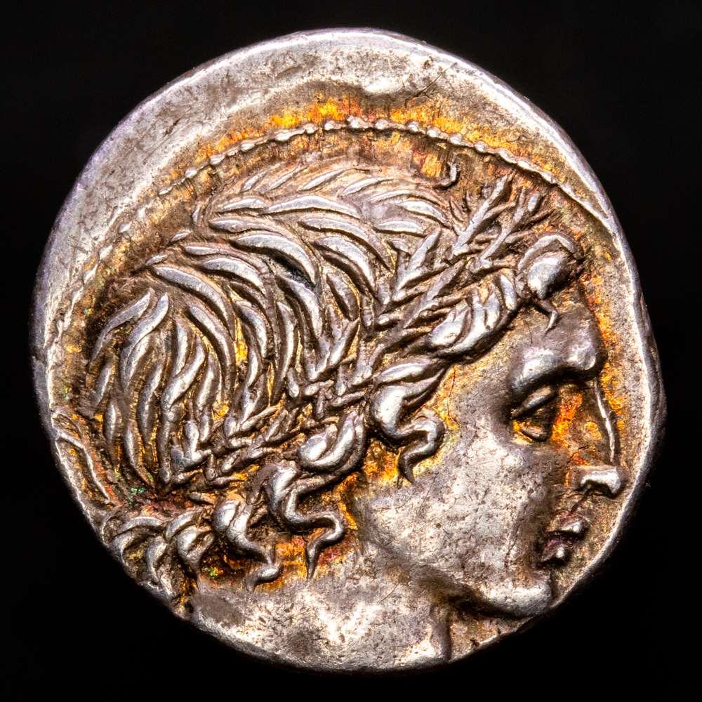 Memmia. L. Memmius. Denario. 109-108 a.C. Sureste de Italia. (Ffc-906). (Craw-304/1). Ag. 4,01 g. Suave pátina con un llamativo tono iridiscente. Atractivo ejemplar. EBC.