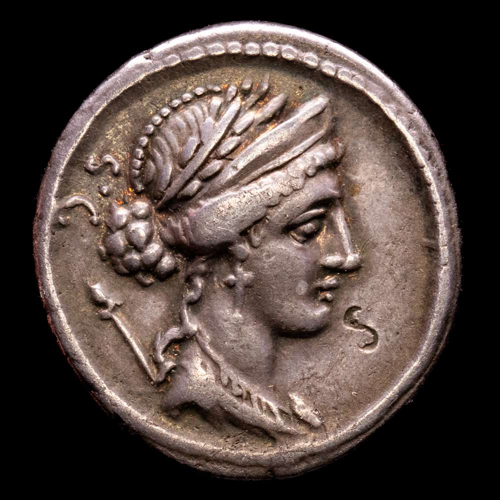 Cornelia. Fausto Cornelius Sila. Denario. 56 aC Roma. (Ffc-643). (Craw-426/3). (Cal-500). Ag. 3,97 gramos. Bella pátina de monetario. EBC-. Escasa.