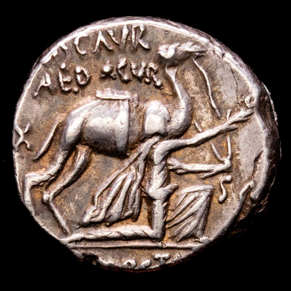 Emilia. M. Emilio Scaurus y Pub. Plaucio Hipsaeo. Denario. 58 aC Roma. (FFc-123). (Craw-422/1b). (Cal-89). Ag. 3,94 gramos. MBC+. Suave tono.