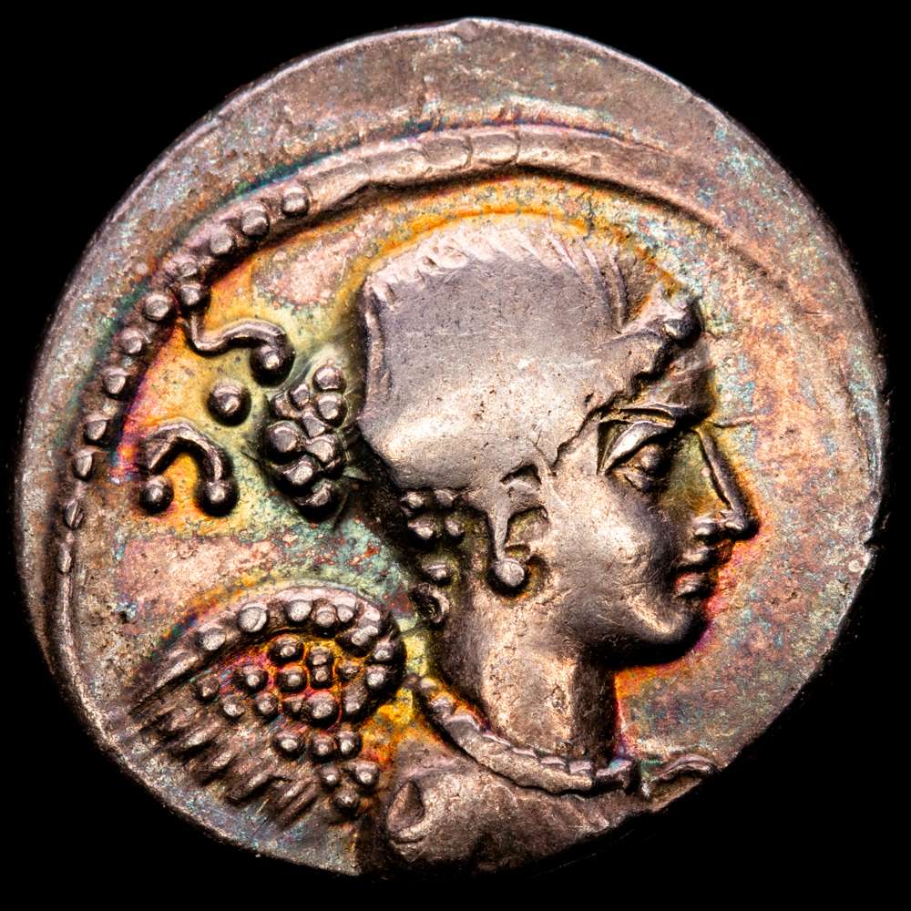Carisia. T. Carisio. Denario. 46 a. C. Roma. (Ffc-538). (Craw-464/5). Ag. 3,68 g. Preciosa pátina irisada de monetario antuguo. EBC-.